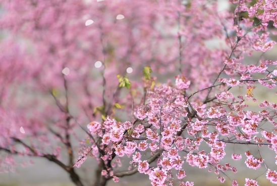 Weixin Image_20260113153820_301_2.jpg