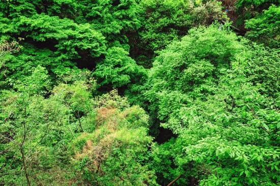 Weixin Image_20260317141038_376_2_1(1).jpg