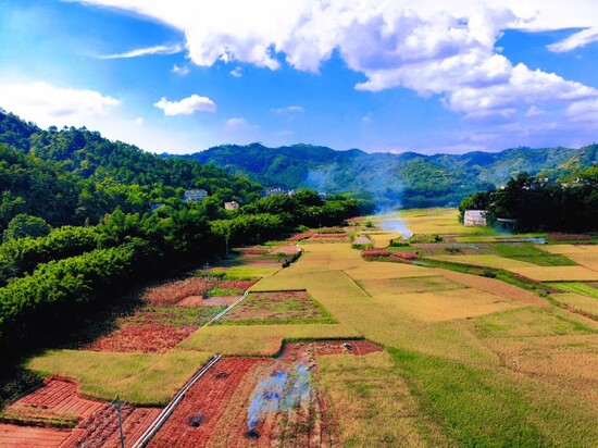 广东省茂名市信宜市东镇街道、朱砂镇、白石镇(新建+改造提升)高标准农田建设项目宣传照片,杨文钊摄.jpg